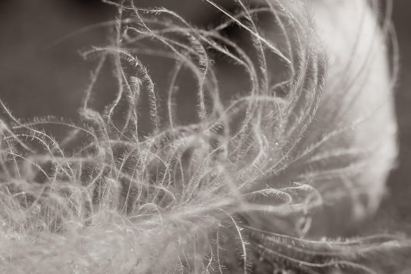 Soft disclosures